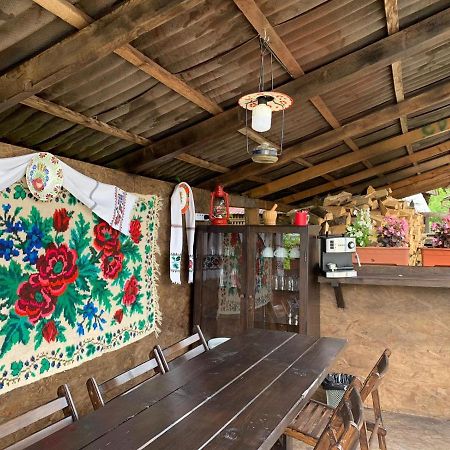 Borşa Casa Aniヴィラ エクステリア 写真